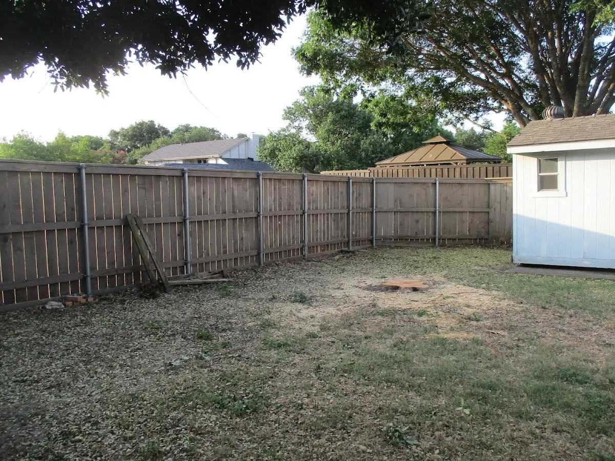 Cleared yard after professional tree removal in Lakehurst